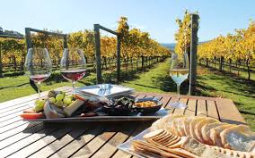 Winery